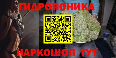 jwh Моздок