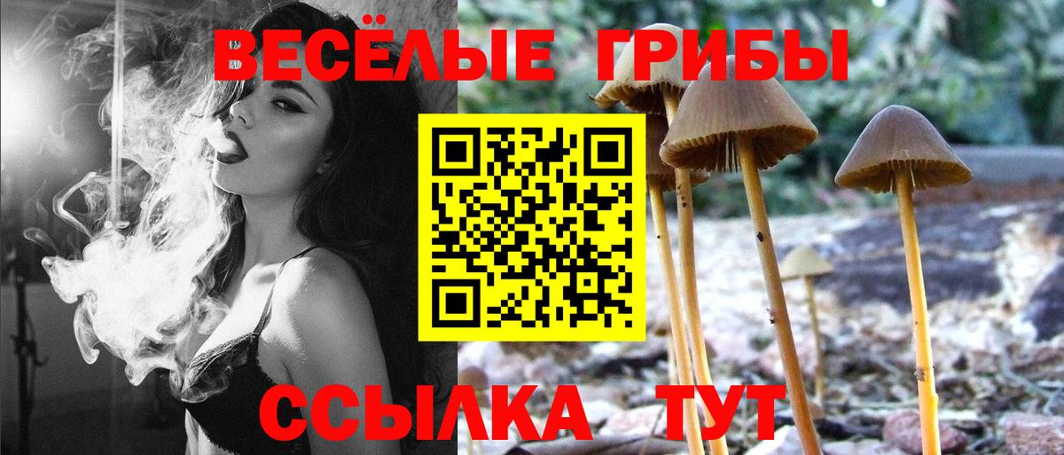 Галлюциногенные грибы мухоморы  Псилоцибиновые грибы Psilocybine cubensis  сколько стоит  Вход с VPN  Сургут 