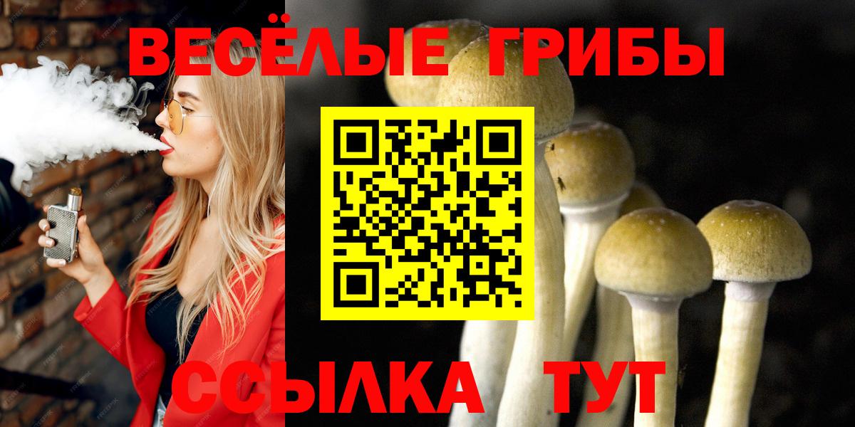 Псилоцибиновые грибы Magic Shrooms Сургут